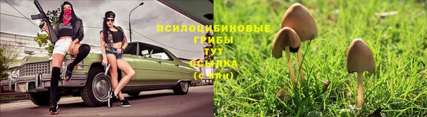 марки nbome Беломорск